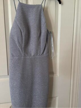 Metallic Silver Spaghetti-Strap Sheath Dress
